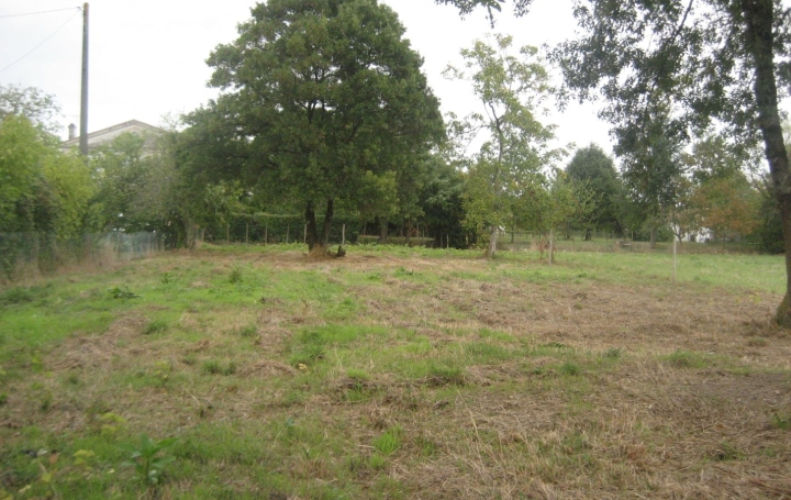 Terrain BEGUEY (33410)   158 000 € 