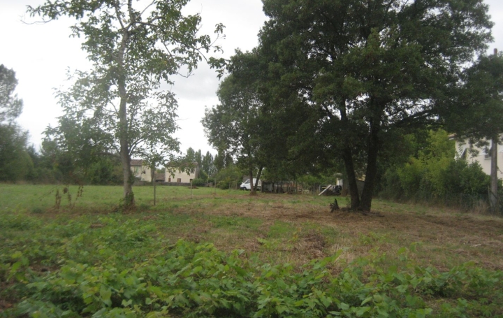 Terrain BEGUEY (33410)   158 000 € 