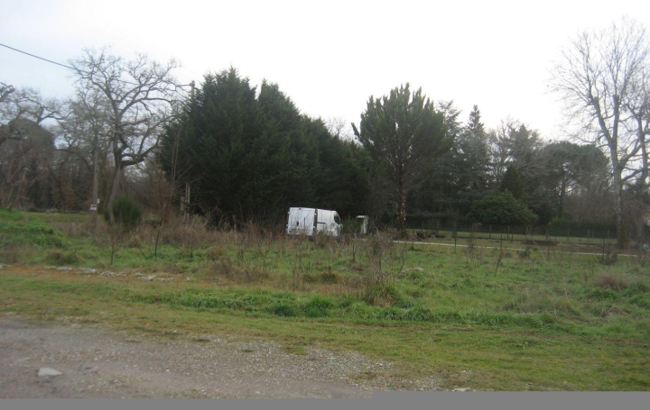 Terrain VILLANDRAUT (33730)   75 000 € 