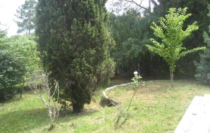 Maison BAZAS (33430)  120 m2 140 000 € 