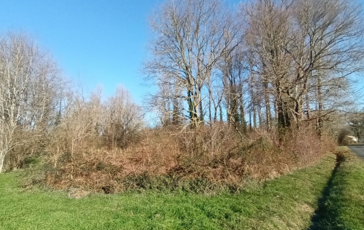 Terrain VILLANDRAUT (33730)   14 000 € 