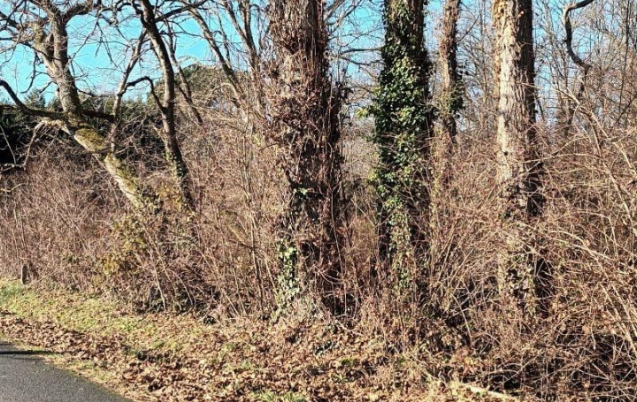 Terrain VILLANDRAUT (33730)   14 000 € 