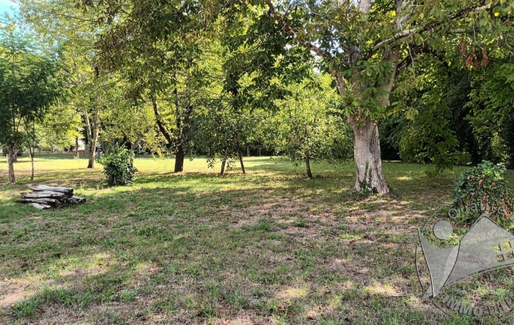 Terrain VILLANDRAUT (33730)   75 000 € 