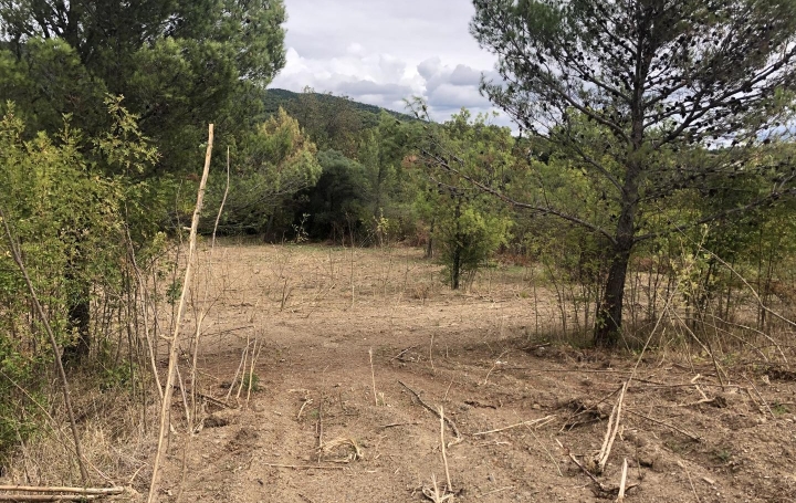 Réseau Immo-diffusion : Terrain  BABEAU-BOULDOUX   99 000 € 