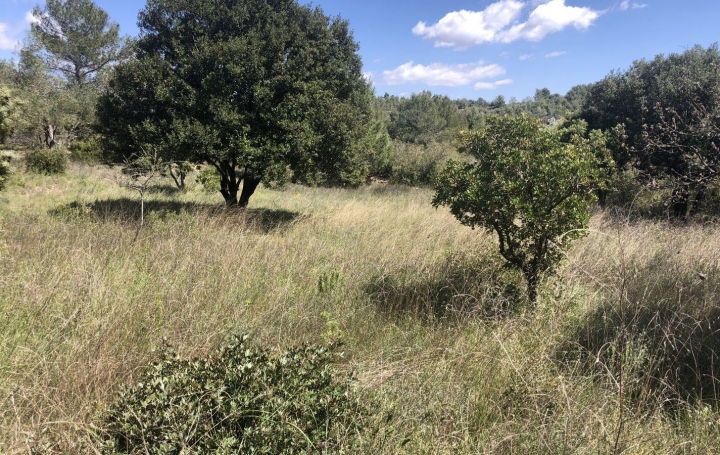 Réseau Immo-diffusion : Terrain  CAUSSES-ET-VEYRAN   4 900 € 