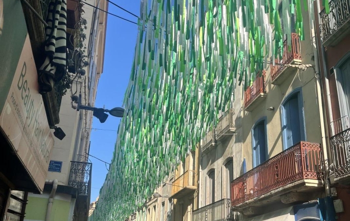 Immeuble PERPIGNAN (66000)  115 m2 170 000 € 