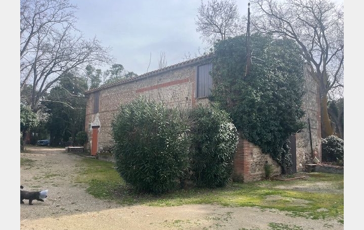 Mas SALEILLES (66280)  500 m2 1 000 000 € 