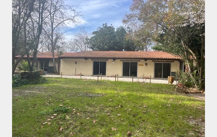 Mas SALEILLES (66280)  500 m2 1 000 000 € 