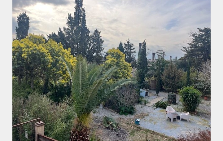 Mas SALEILLES (66280)  500 m2 1 000 000 € 