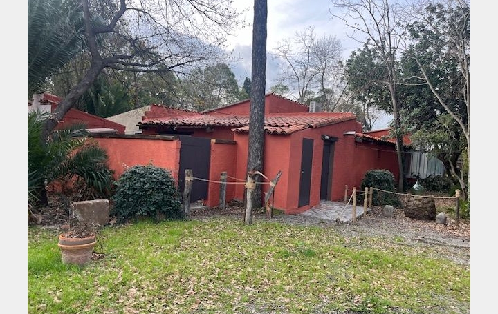 Mas SALEILLES (66280)  500 m2 1 000 000 € 
