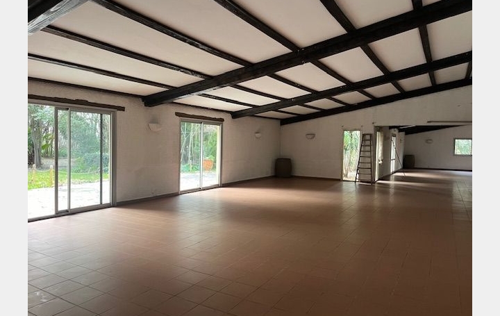 Mas SALEILLES (66280)  500 m2 1 000 000 € 