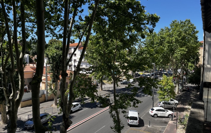 Studio PERPIGNAN (66000)  91 m2 143 000 € 