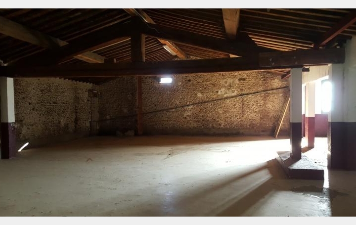 Réseau Immo-diffusion : Mas  MILLAS  770 m2 320 000 € 