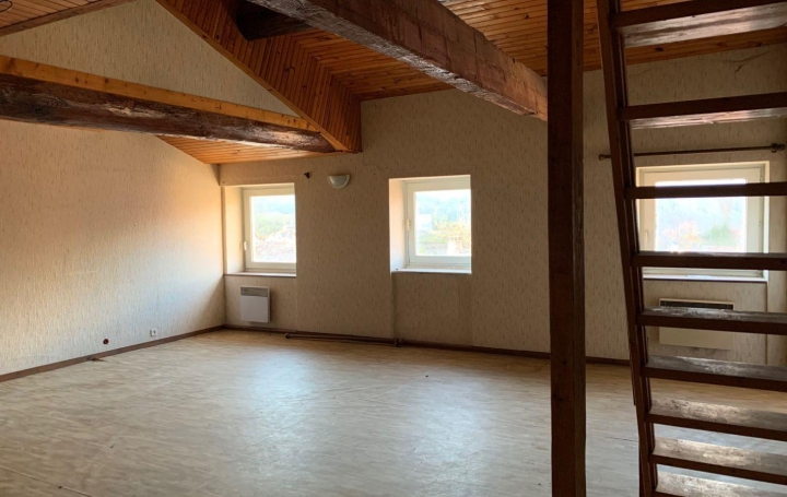 Réseau Immo-diffusion : Appartement P2  SAINT-PONS-DE-THOMIERES  67 m2 40 000 € 