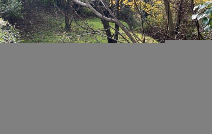 Terrain SAINT-JULIEN (34390)   30 000 € 