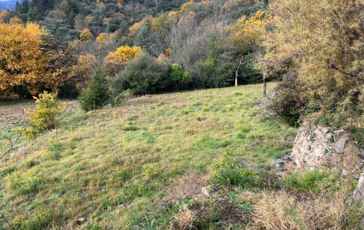Terrain SAINT-JULIEN (34390)   30 000 € 
