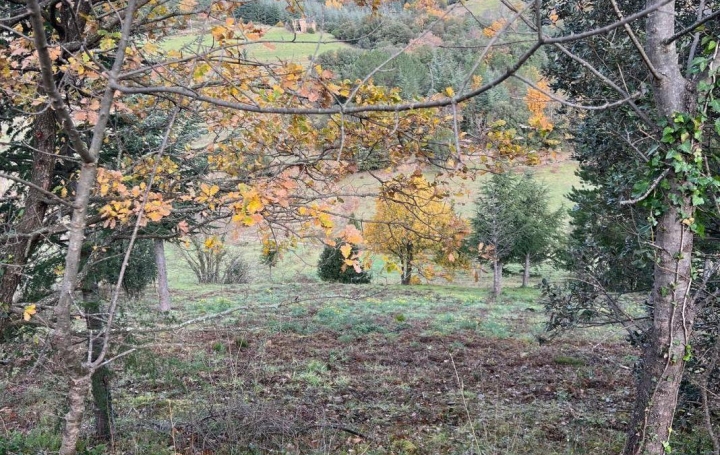 Terrain OLARGUES (34390)   18 000 € 