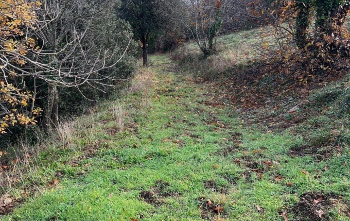 Terrain OLARGUES (34390)   18 000 € 