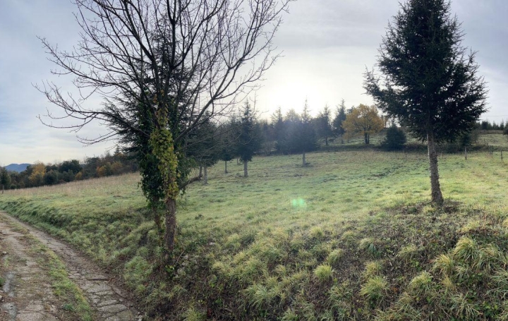 Terrain OLARGUES (34390)   18 000 € 