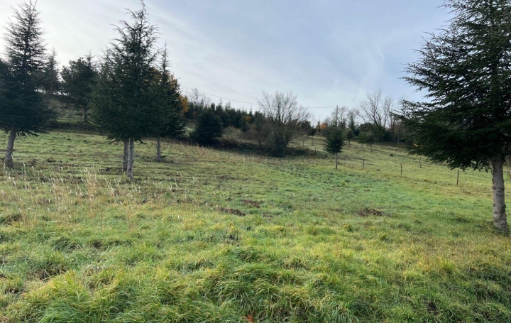 Terrain OLARGUES (34390)   18 000 € 