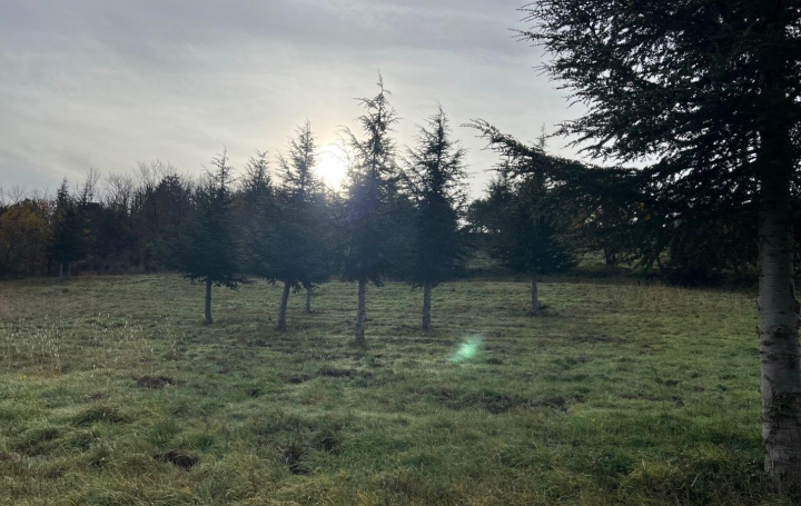 Terrain OLARGUES (34390)   18 000 € 