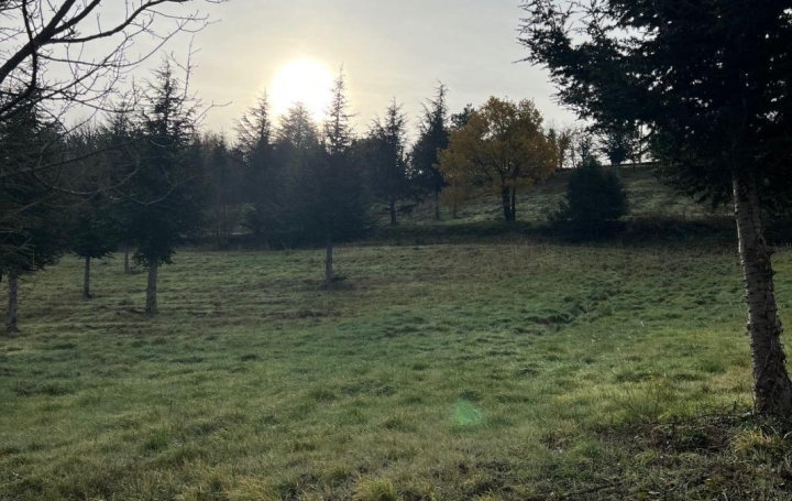 Terrain OLARGUES (34390)   18 000 € 