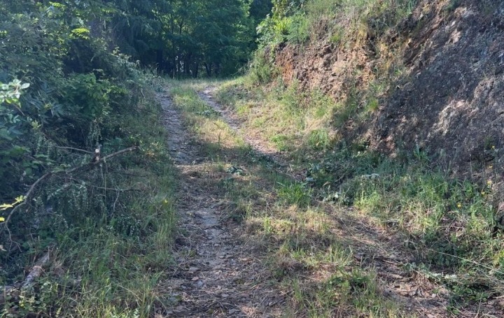 Terrain OLARGUES (34390)   60 000 € 