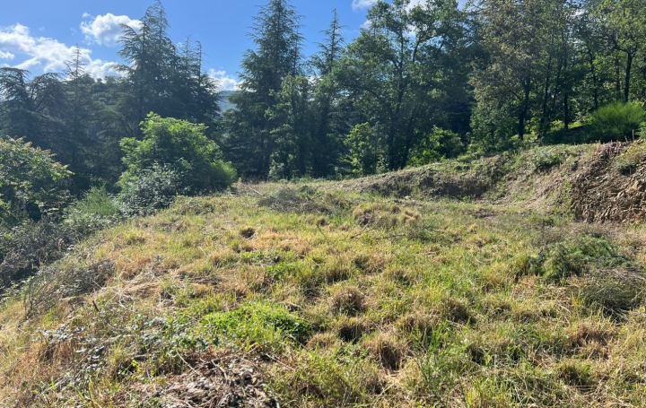 Terrain OLARGUES (34390)   60 000 € 