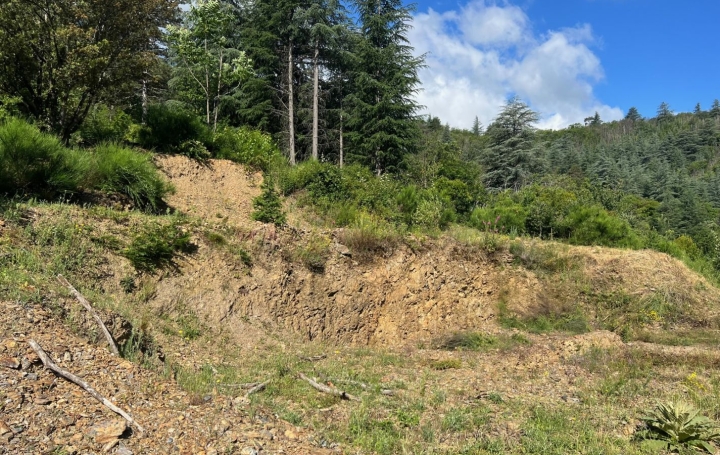 Terrain OLARGUES (34390)   60 000 € 