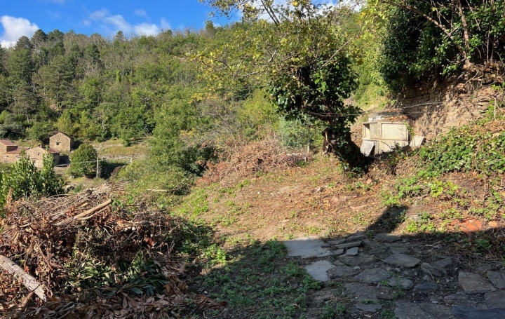 Maison de village SAINT-VINCENT-D'OLARGUES (34390)  44 m2 65 000 € 