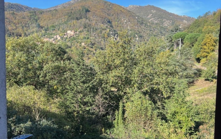 Maison de village SAINT-VINCENT-D'OLARGUES (34390)  90 m2 140 000 € 