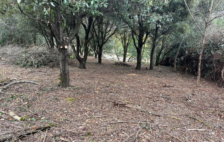 Terrain SAINT-VINCENT-D'OLARGUES (34390)  9 m2 16 000 € 