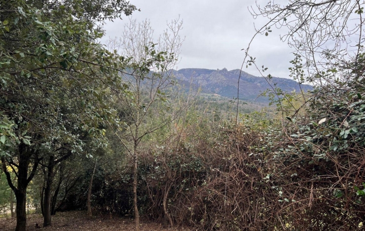 Terrain SAINT-VINCENT-D'OLARGUES (34390)  9 m2 16 000 € 