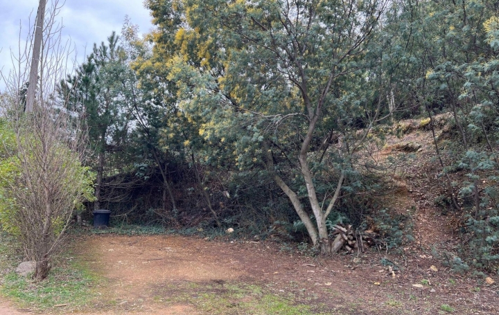 Terrain SAINT-VINCENT-D'OLARGUES (34390)  9 m2 16 000 € 