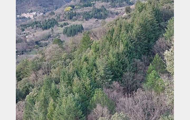 Terrain SAINT-VINCENT-D'OLARGUES (34390)   34 000 € 