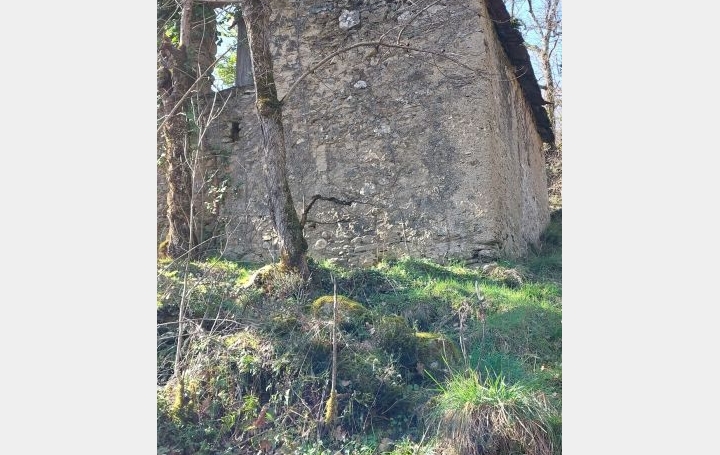 Terrain SAINT-VINCENT-D'OLARGUES (34390)   34 000 € 