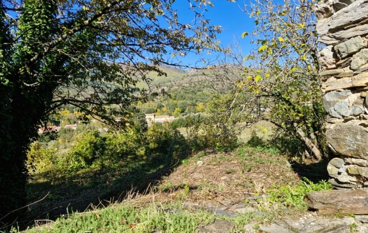 Maison de village SAINT-ETIENNE-D'ALBAGNAN (34390)  48 m2 29 000 € 