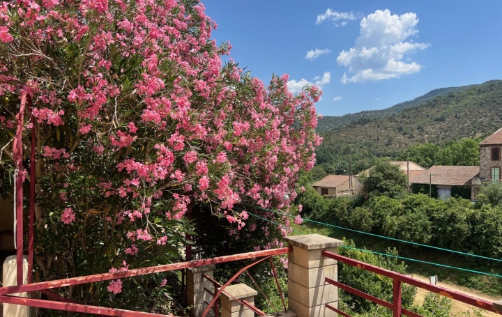 Maison de village OLARGUES (34390)  114 m2 97 000 € 