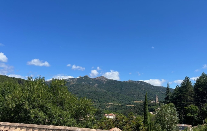 Villa OLARGUES (34390)  215 m2 455 000 € 