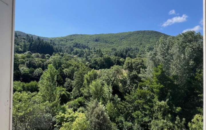 Maison OLARGUES (34390)  163 m2 140 000 € 