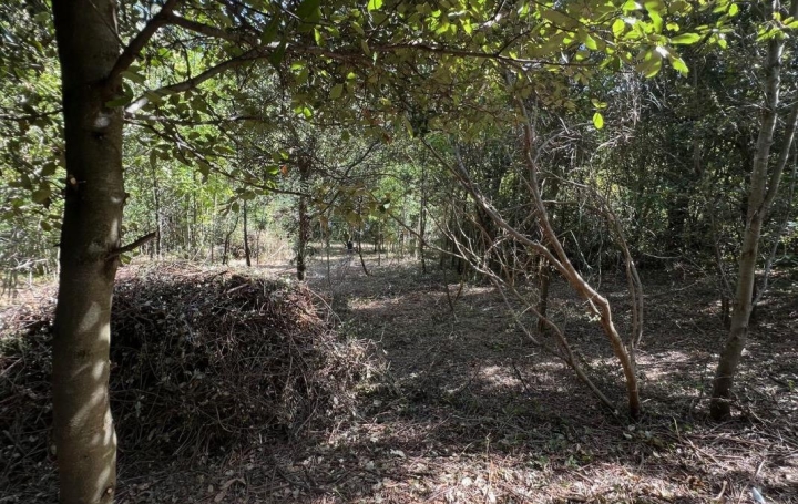 Terrain PREMIAN (34390)   11 000 € 