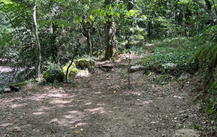 Terrain PREMIAN (34390)   11 000 € 