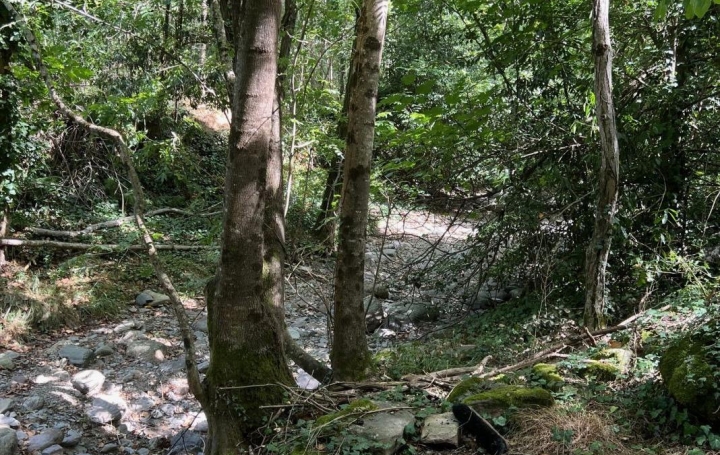 Terrain PREMIAN (34390)   11 000 € 