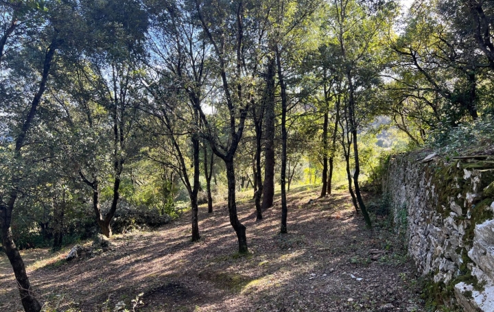 Terrain OLARGUES (34390)  36 m2 89 000 € 