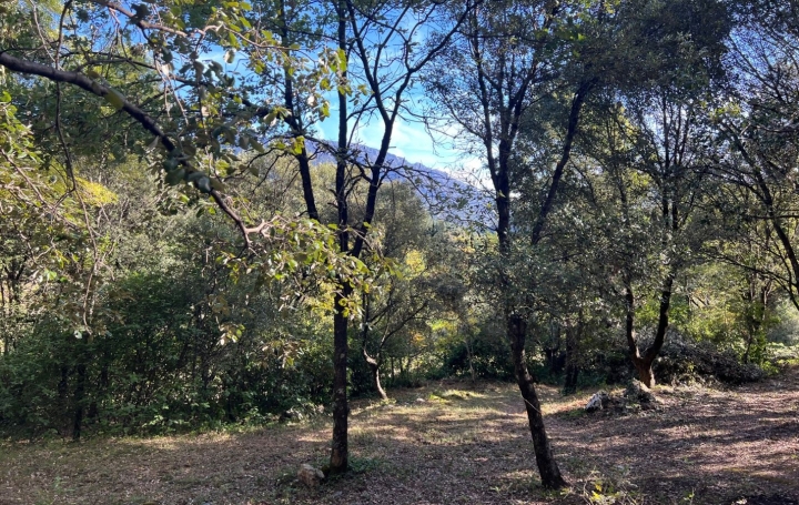 Terrain OLARGUES (34390)  36 m2 89 000 € 
