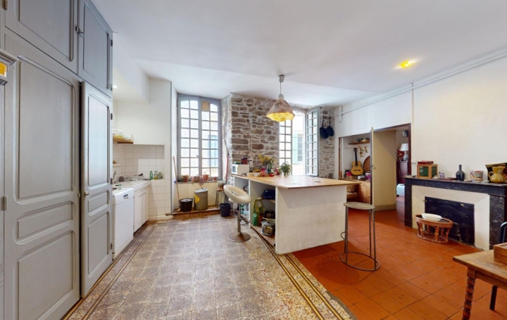 Maison de village OLARGUES (34390)  410 m2 190 000 € 