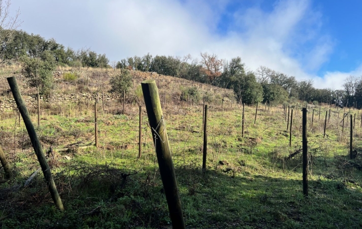 Terrain SAINT-JULIEN (34390)   12 000 € 