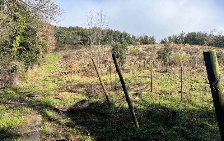 Terrain SAINT-JULIEN (34390)   12 000 € 