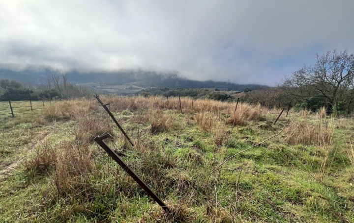 Terrain MONS (34390)   12 000 € 