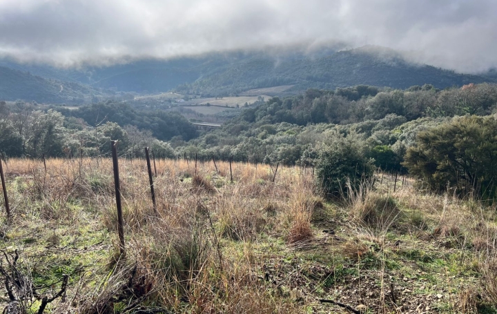 Terrain MONS (34390)   12 000 € 